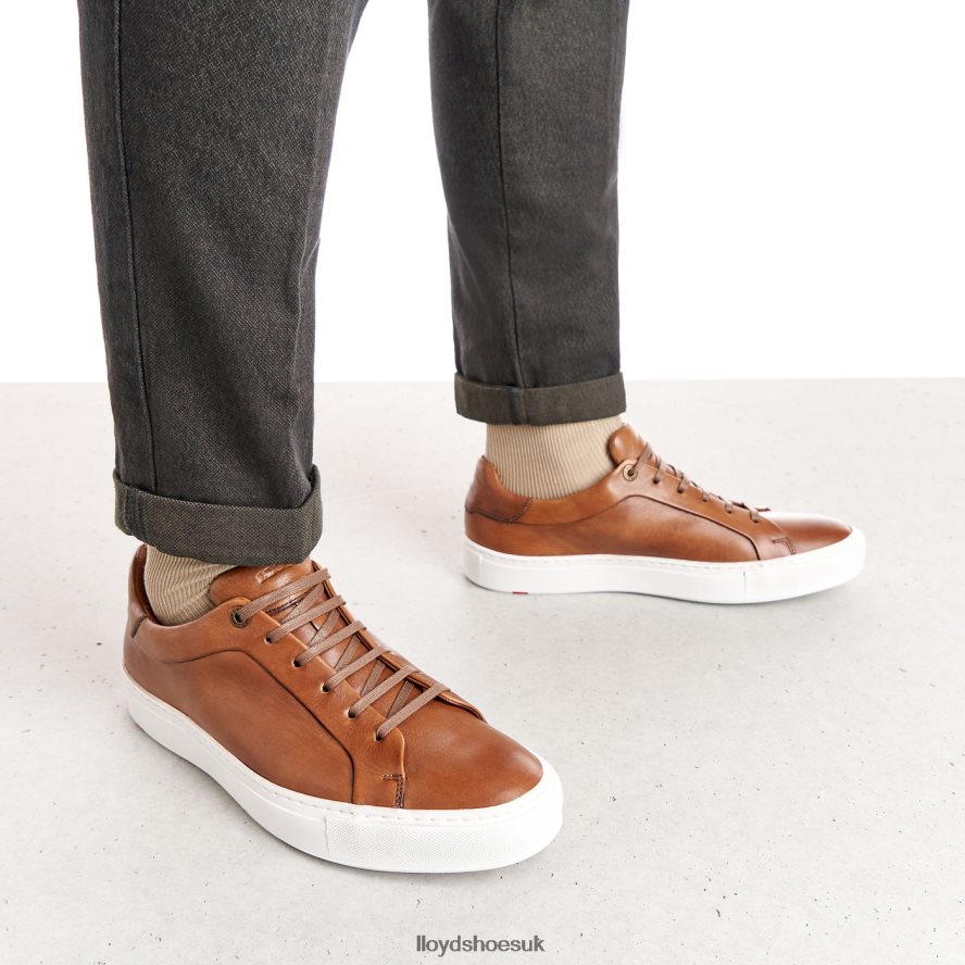 LLOYD Men AJAN H4BXXT391 Shoes brown