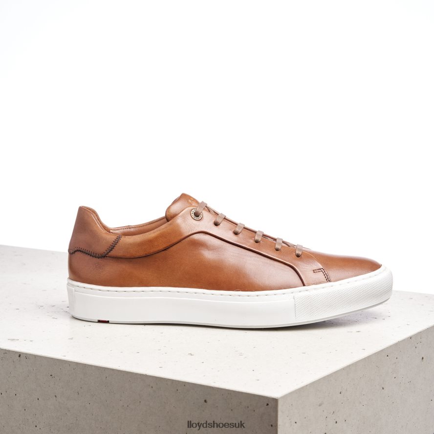 LLOYD Men AJAN H4BXXT391 Shoes brown