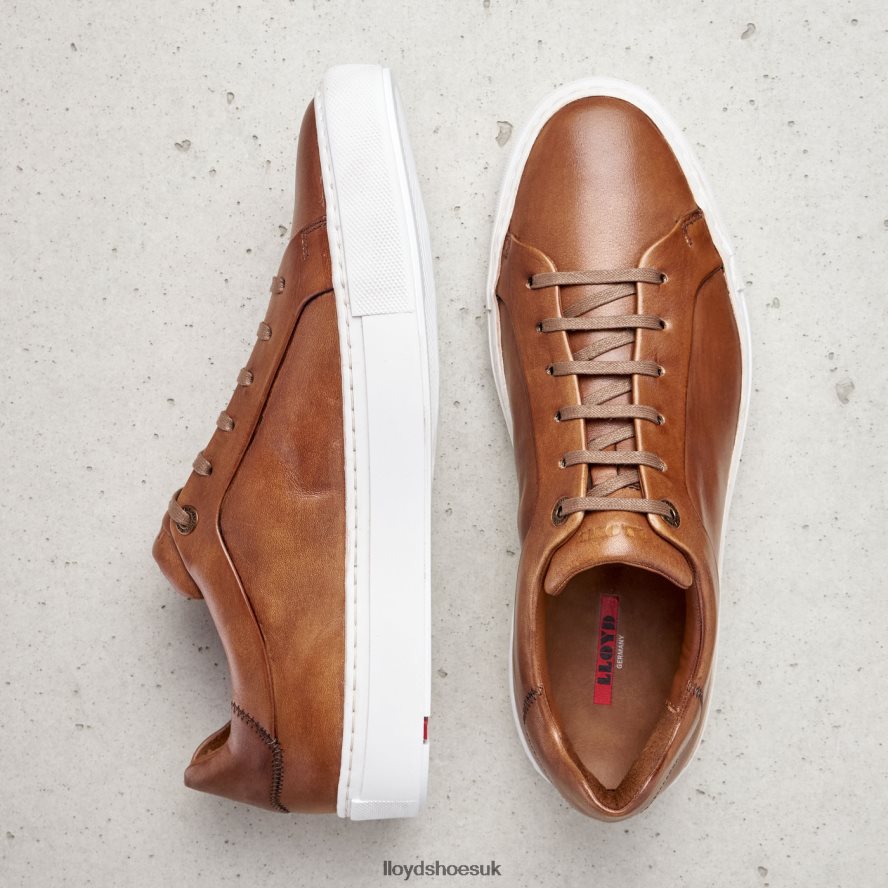 LLOYD Men AJAN H4BXXT391 Shoes brown