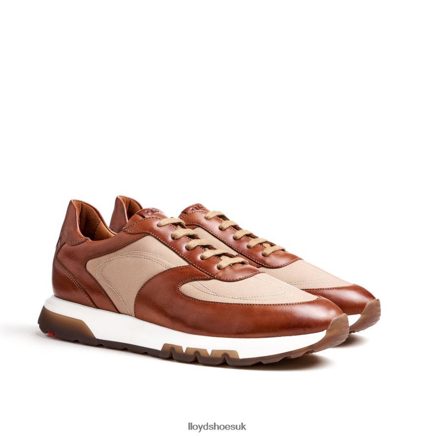LLOYD Men ALBANY H4BXXT1337 Shoes brown