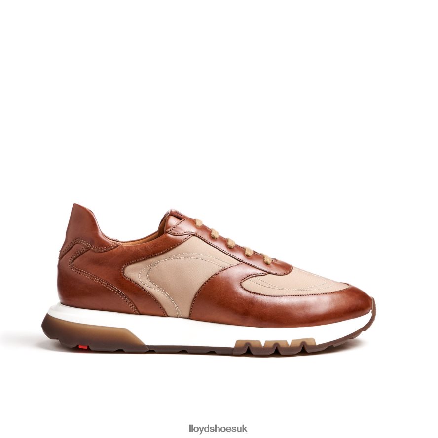 LLOYD Men ALBANY H4BXXT1337 Shoes brown
