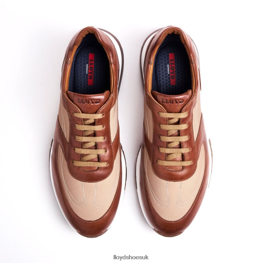 LLOYD Men ALBANY H4BXXT1337 Shoes brown