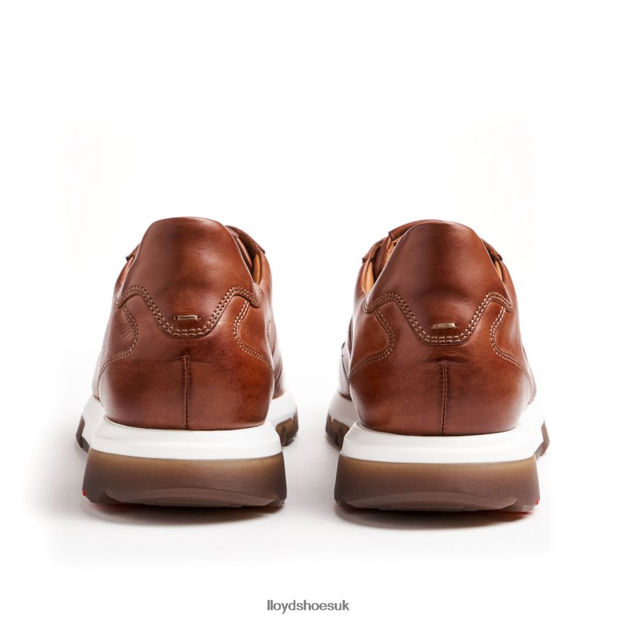 LLOYD Men ALBANY H4BXXT1337 Shoes brown