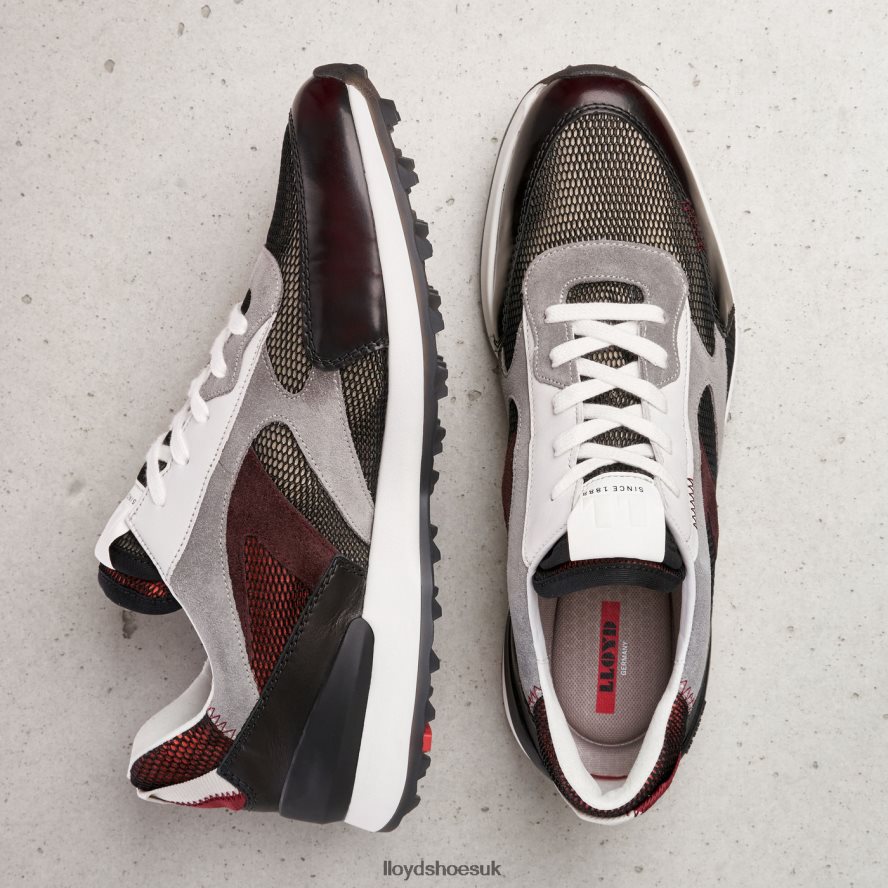 LLOYD Men ALFA H4BXXT353 Shoes combined