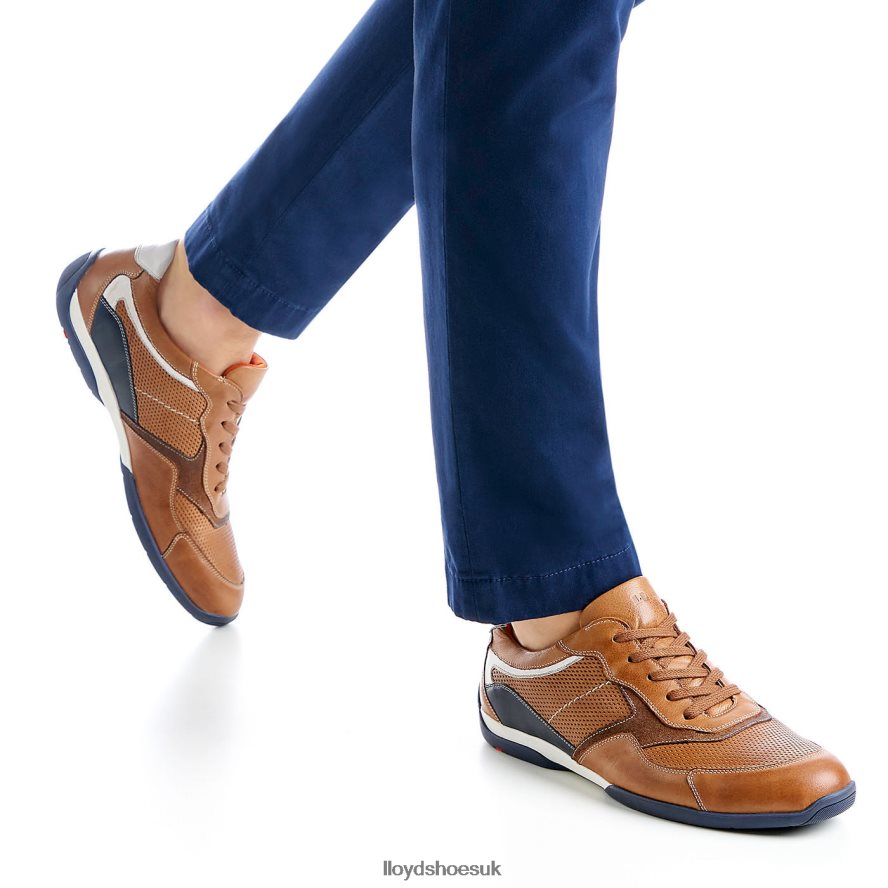 LLOYD Men BALTIMORE H4BXXT287 Shoes brown