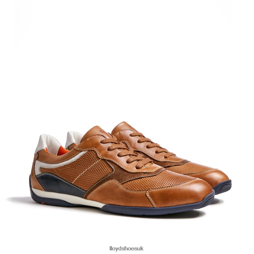 LLOYD Men BALTIMORE H4BXXT287 Shoes brown