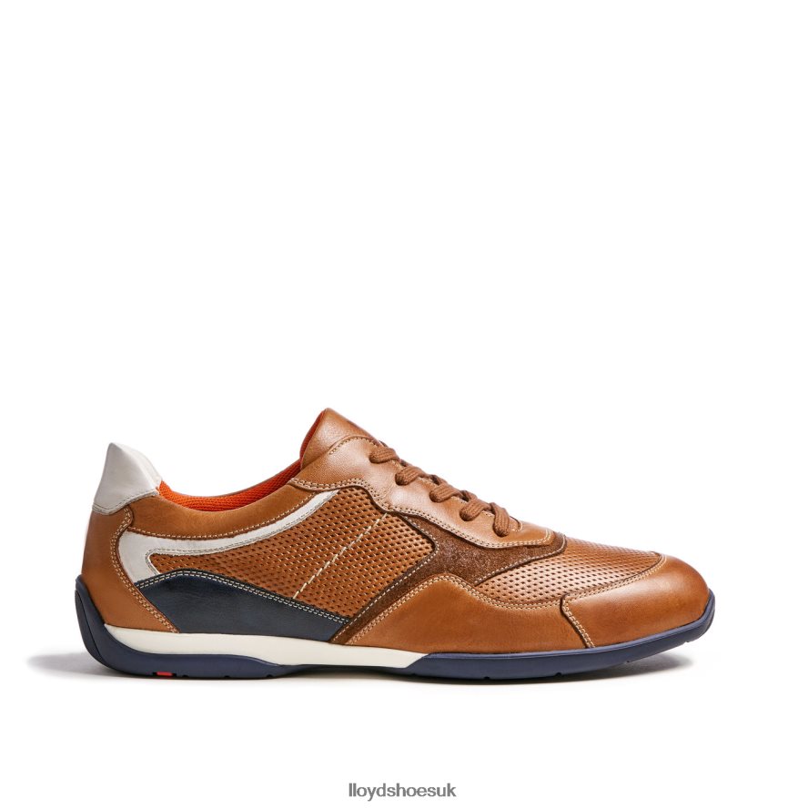 LLOYD Men BALTIMORE H4BXXT287 Shoes brown
