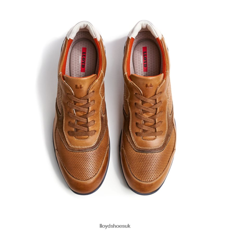 LLOYD Men BALTIMORE H4BXXT287 Shoes brown