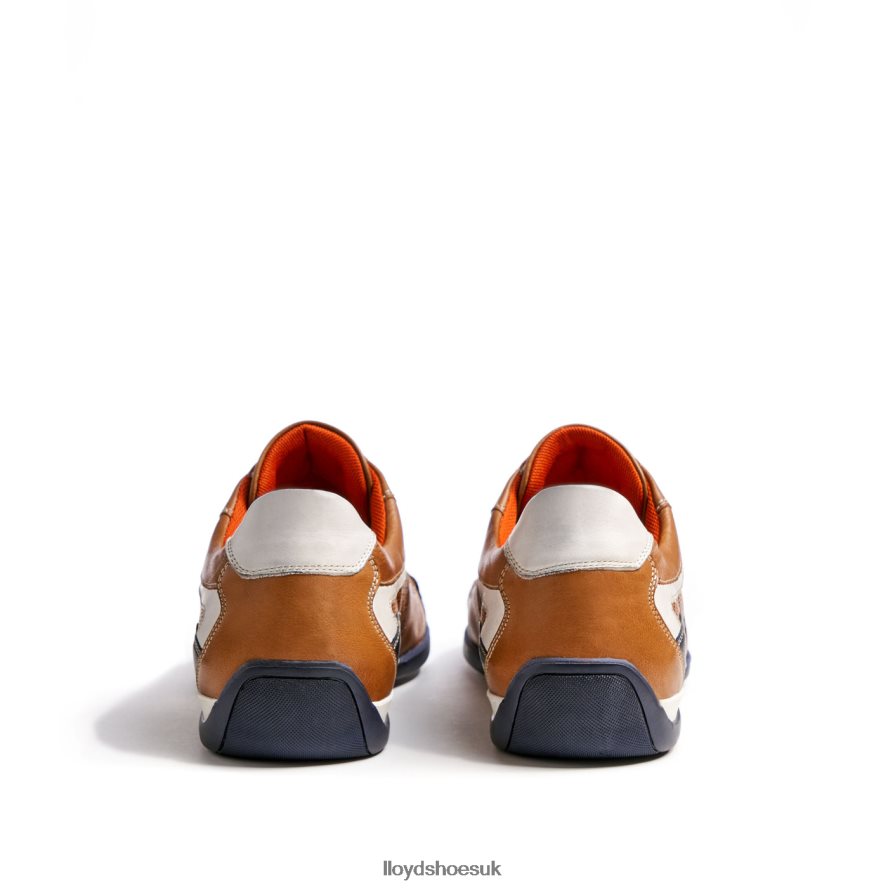 LLOYD Men BALTIMORE H4BXXT287 Shoes brown