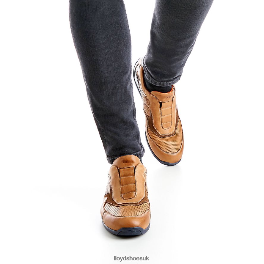 LLOYD Men BANFIELD H4BXXT347 Shoes brown