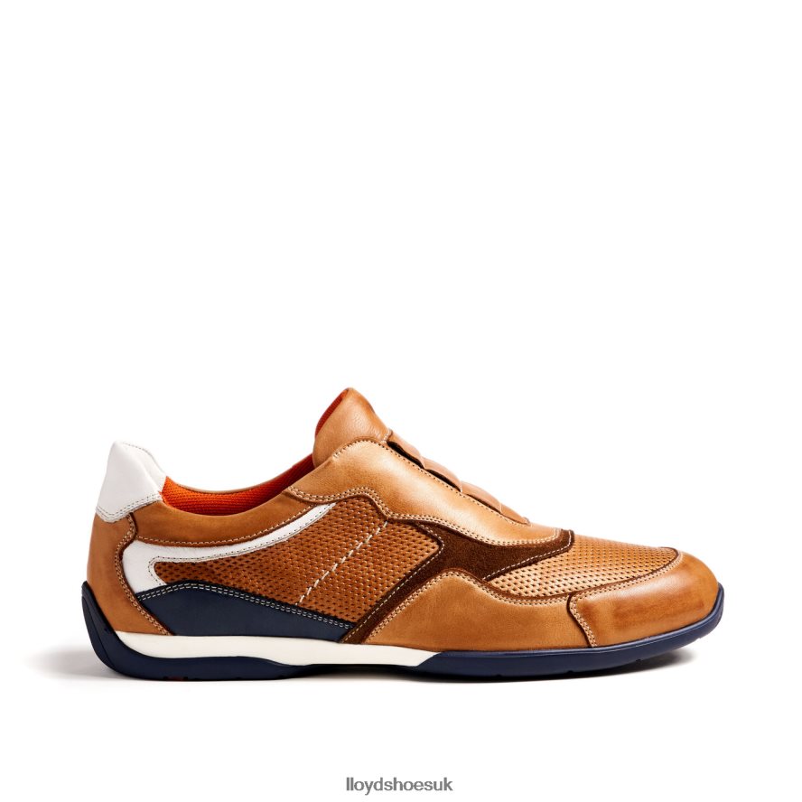 LLOYD Men BANFIELD H4BXXT347 Shoes brown