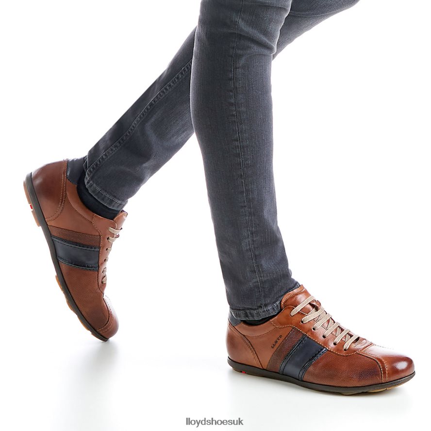 LLOYD Men BARETT H4BXXT354 Shoes brown