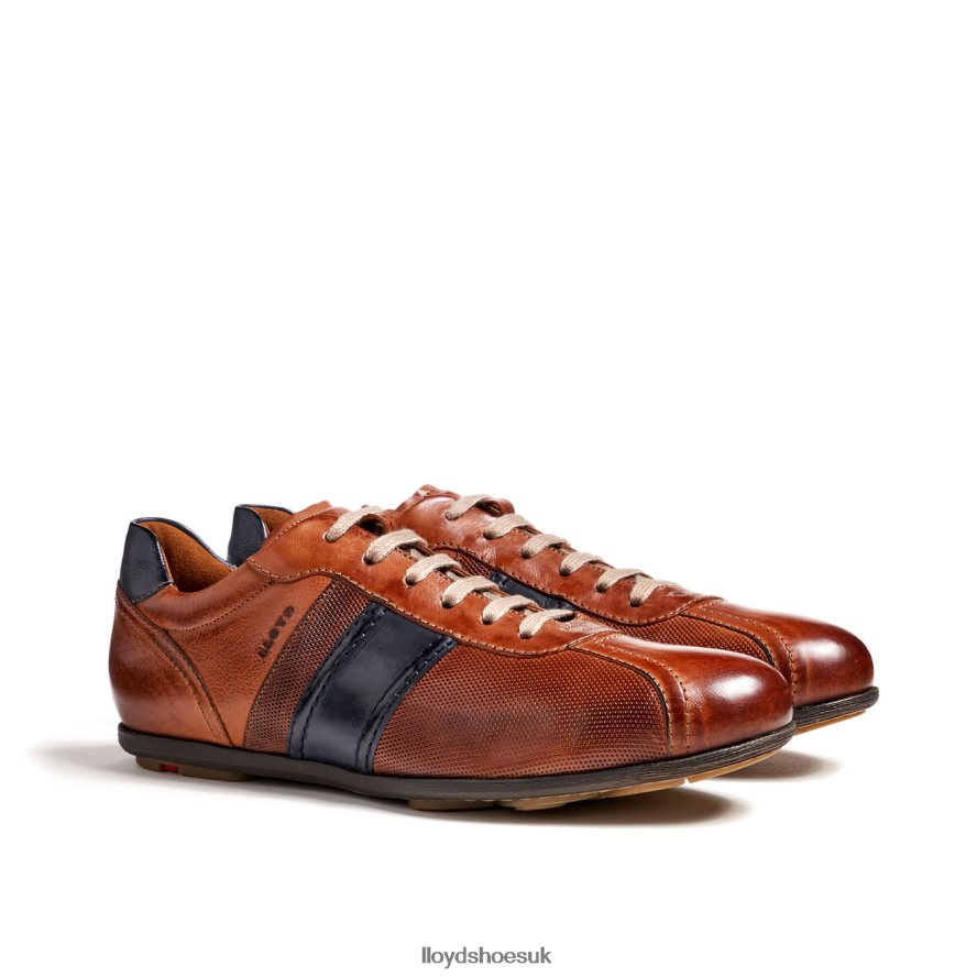 LLOYD Men BARETT H4BXXT354 Shoes brown