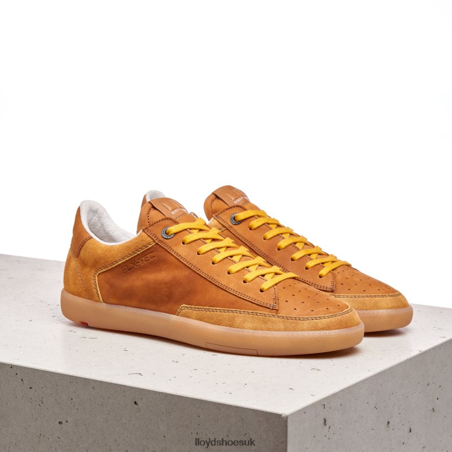 LLOYD Men BARON H4BXXT427 Shoes brown