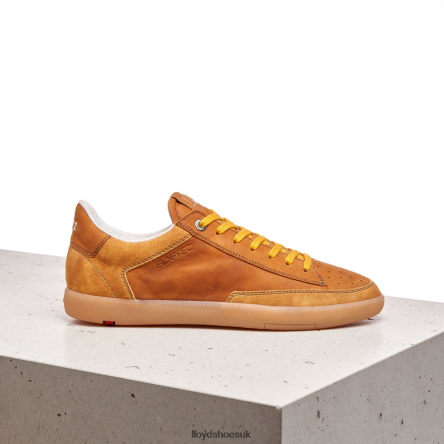 LLOYD Men BARON H4BXXT427 Shoes brown
