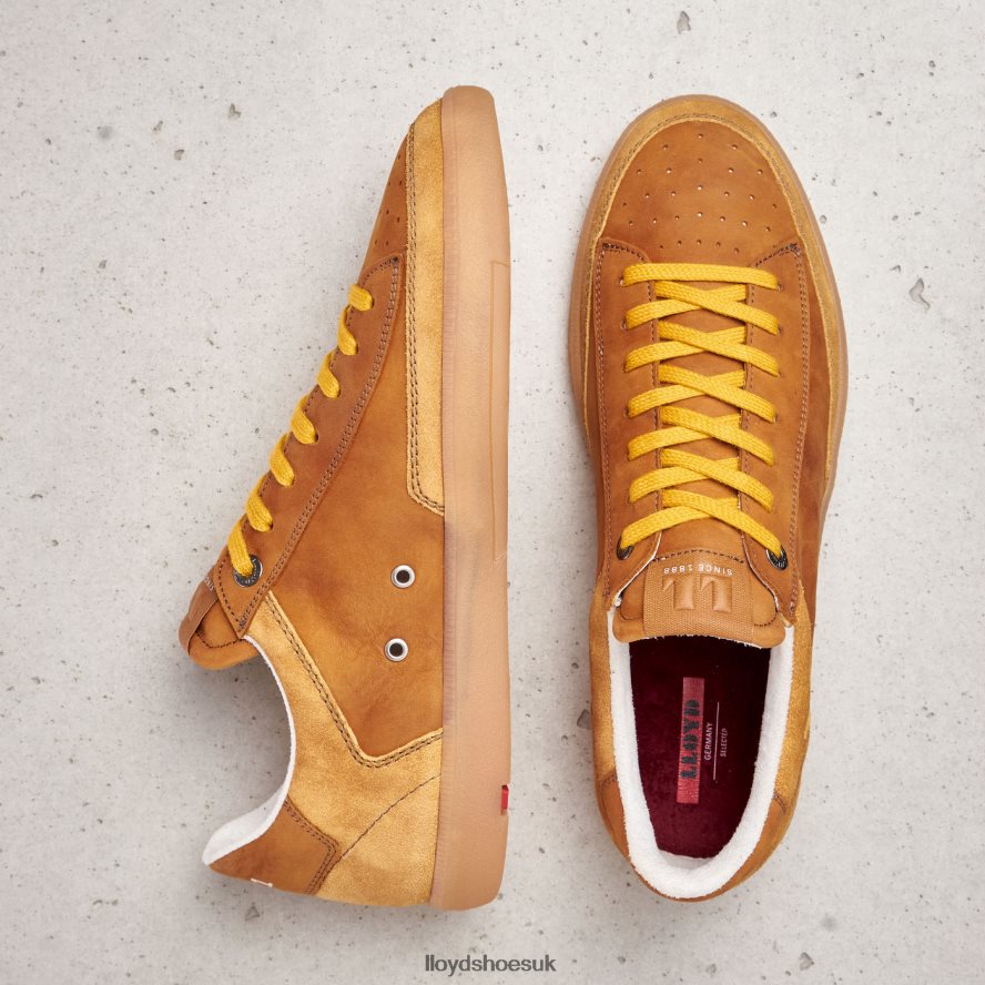 LLOYD Men BARON H4BXXT427 Shoes brown