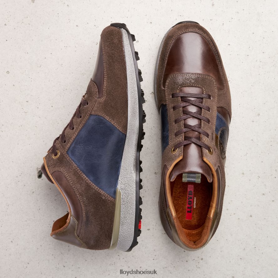 LLOYD Men BELLINGHAM H4BXXT377 Shoes brown