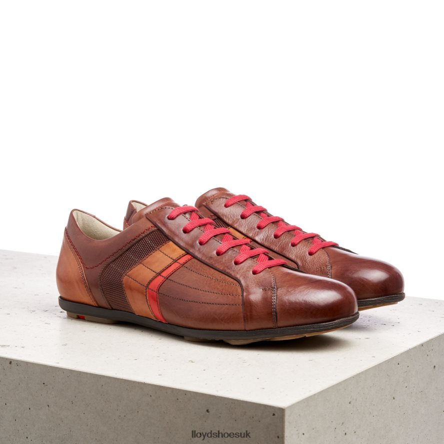 LLOYD Men BENSON H4BXXT439 Shoes brown