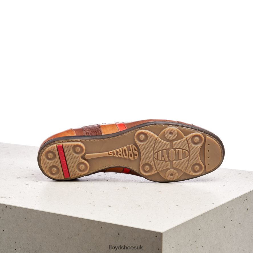 LLOYD Men BENSON H4BXXT439 Shoes brown
