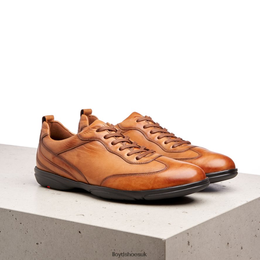 LLOYD Men BERN H4BXXT436 Shoes brown