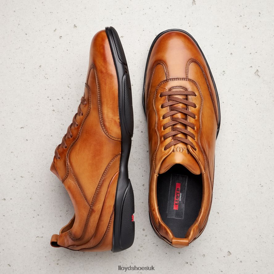 LLOYD Men BERN H4BXXT436 Shoes brown