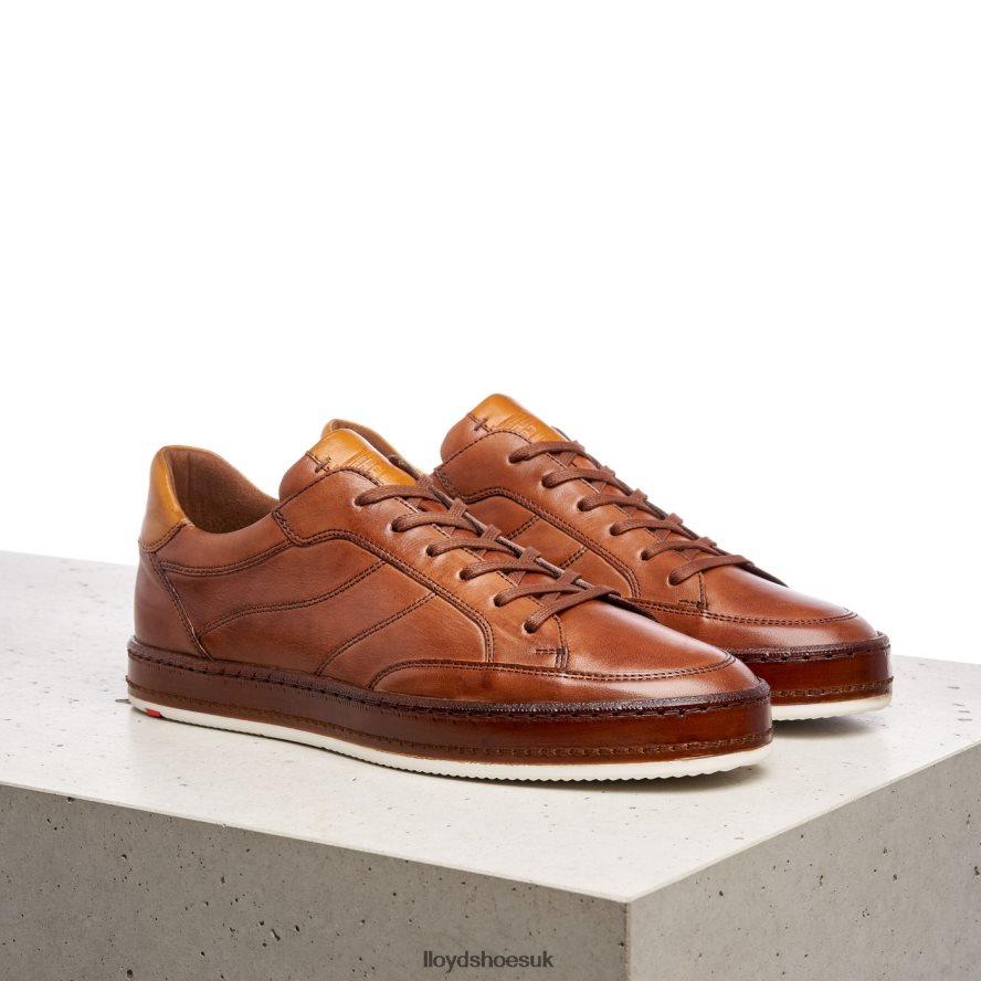 LLOYD Men BLACKBURN H4BXXT440 Shoes brown