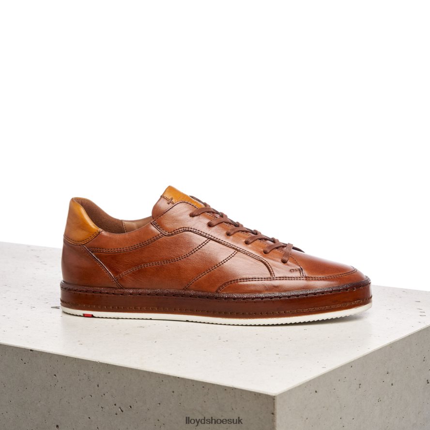 LLOYD Men BLACKBURN H4BXXT440 Shoes brown