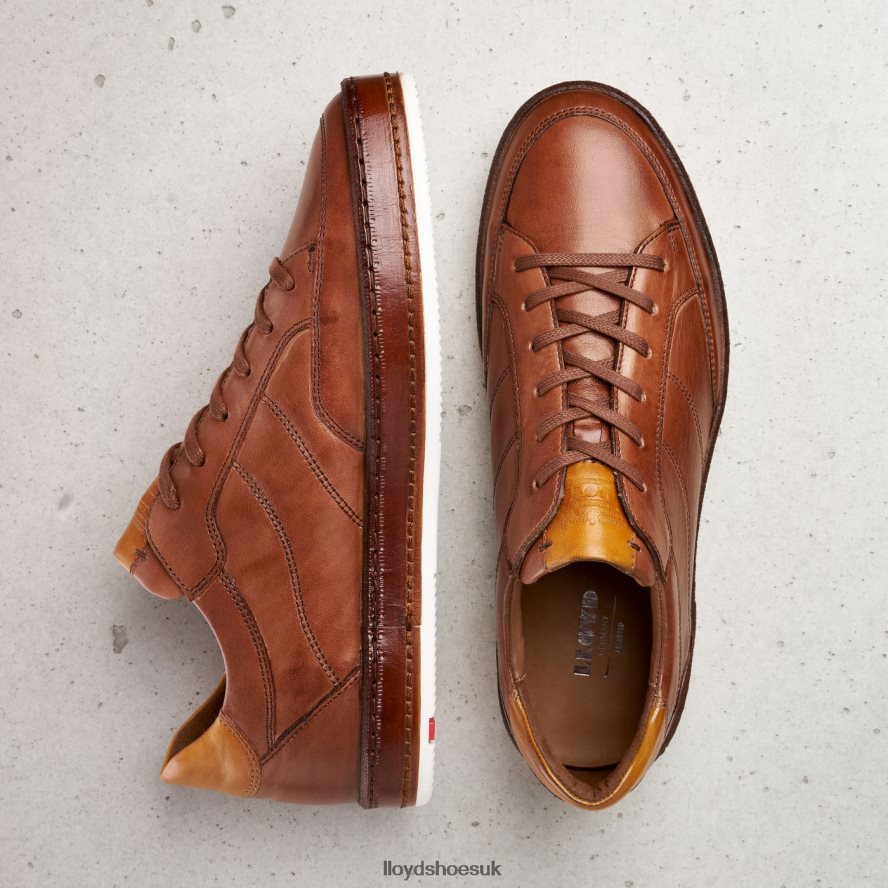 LLOYD Men BLACKBURN H4BXXT440 Shoes brown