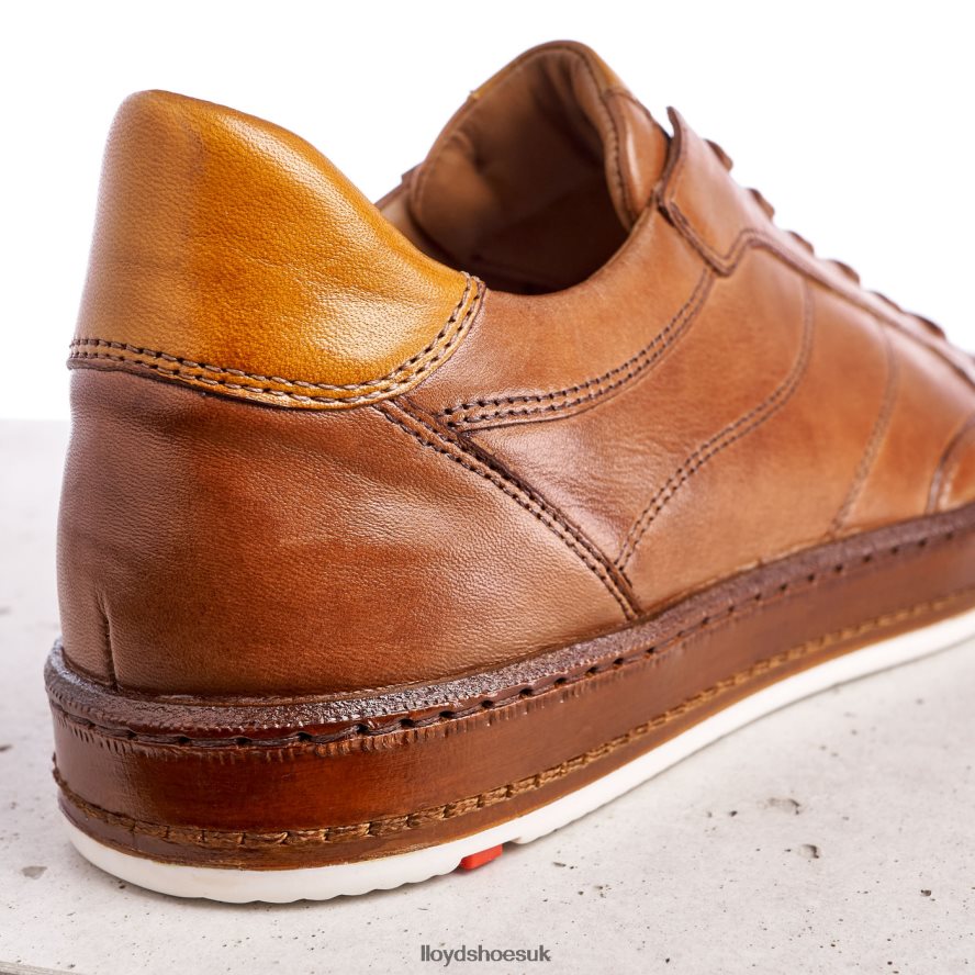 LLOYD Men BLACKBURN H4BXXT440 Shoes brown
