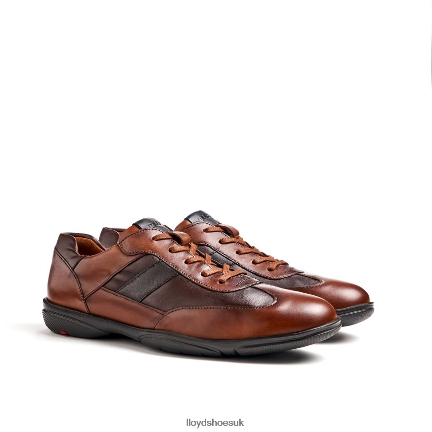 LLOYD Men BREVIS H4BXXT418 Shoes brown