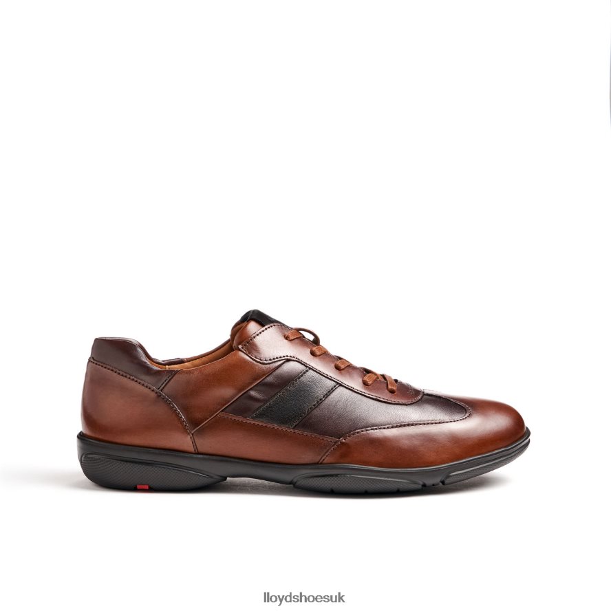 LLOYD Men BREVIS H4BXXT418 Shoes brown