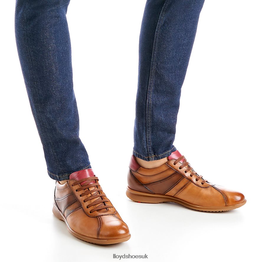 LLOYD Men DAVOS H4BXXT308 Shoes brown
