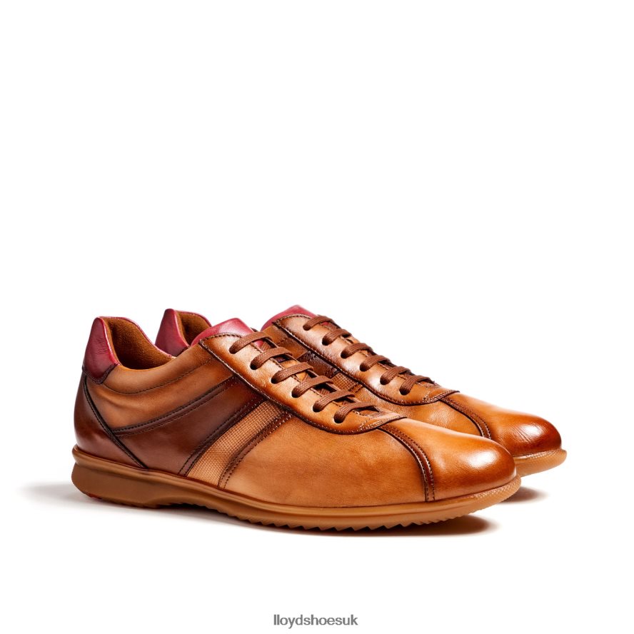 LLOYD Men DAVOS H4BXXT308 Shoes brown