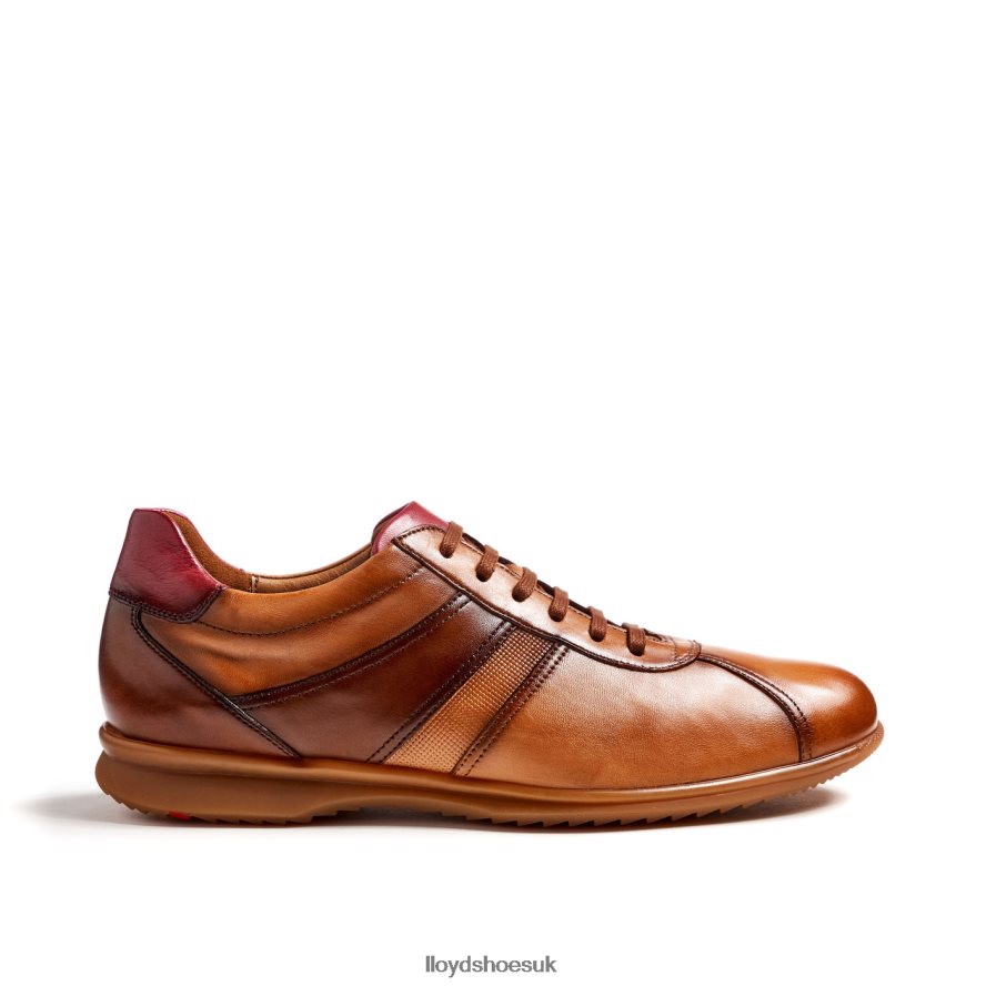 LLOYD Men DAVOS H4BXXT308 Shoes brown