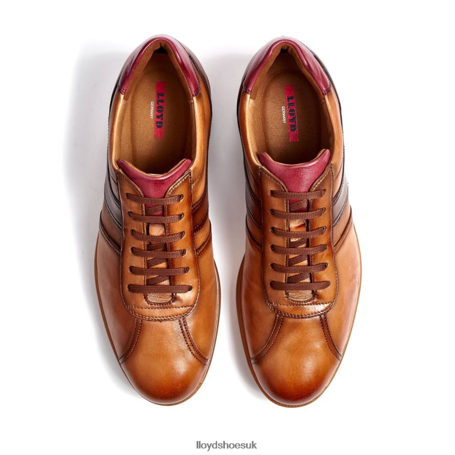 LLOYD Men DAVOS H4BXXT308 Shoes brown
