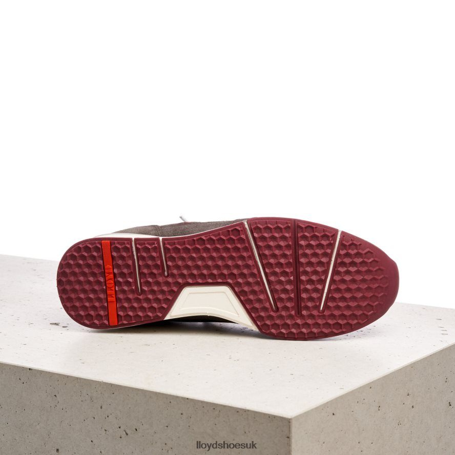 LLOYD Men EGIDIO H4BXXT432 Shoes brown