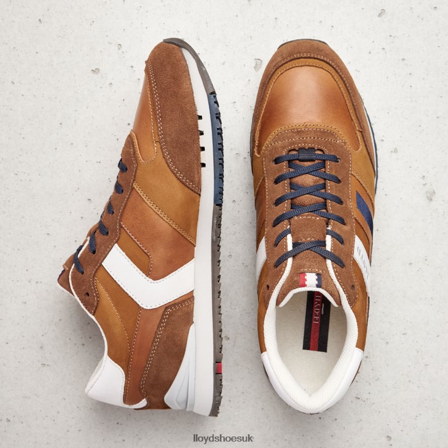 LLOYD Men ELIO H4BXXT381 Shoes brown