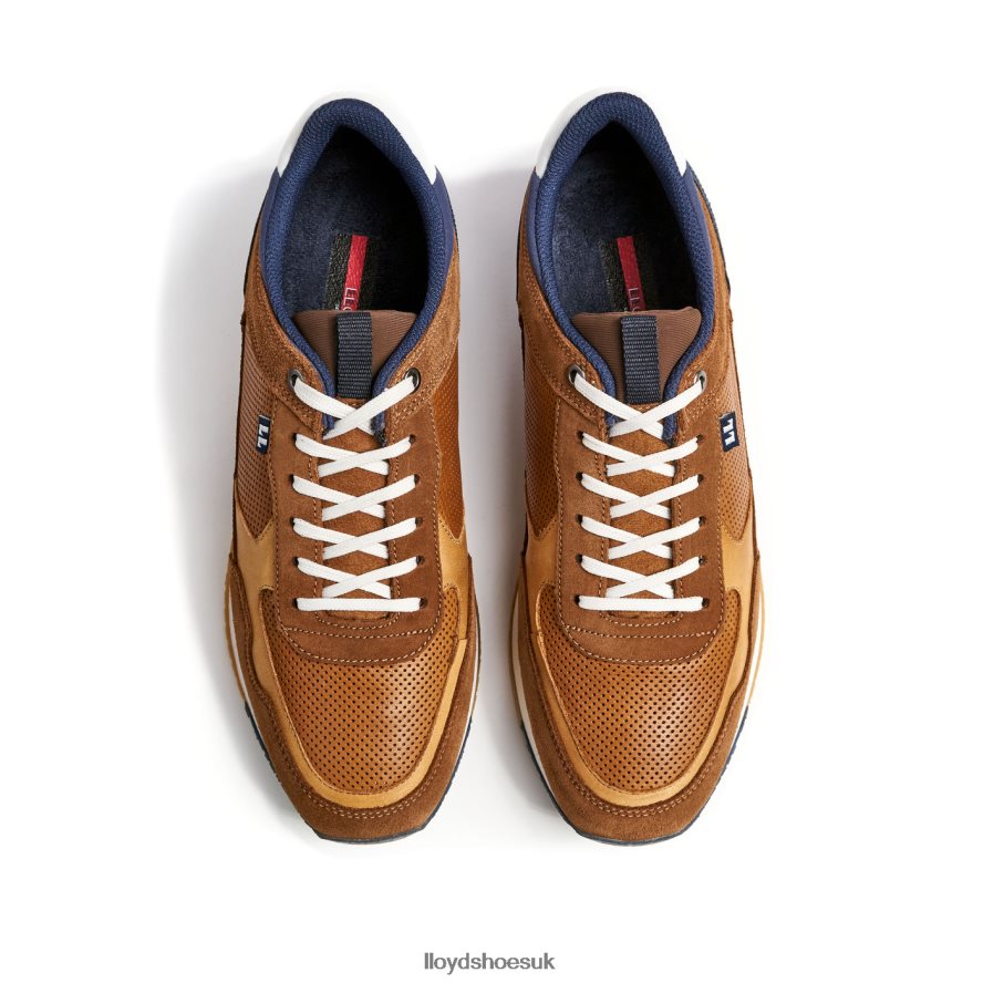 LLOYD Men EMILIAN H4BXXT282 Shoes brown