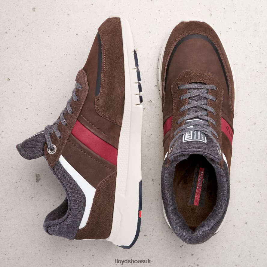 LLOYD Men ENNIO H4BXXT352 Shoes brown