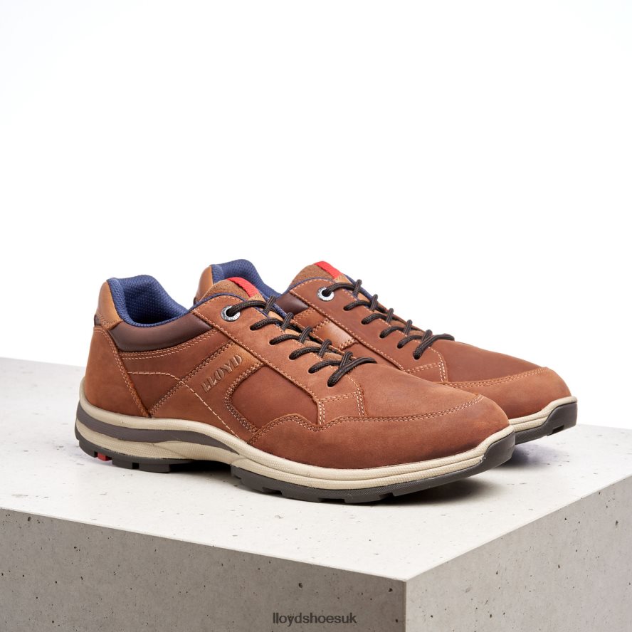 LLOYD Men ENSOR H4BXXT394 Shoes brown