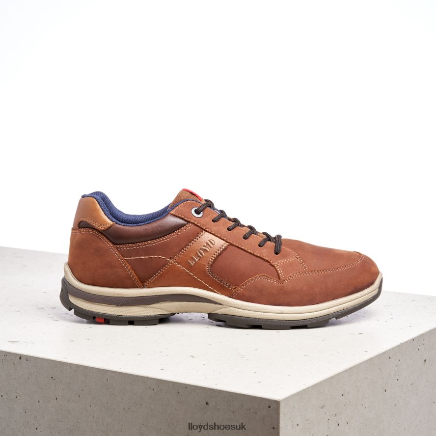 LLOYD Men ENSOR H4BXXT394 Shoes brown