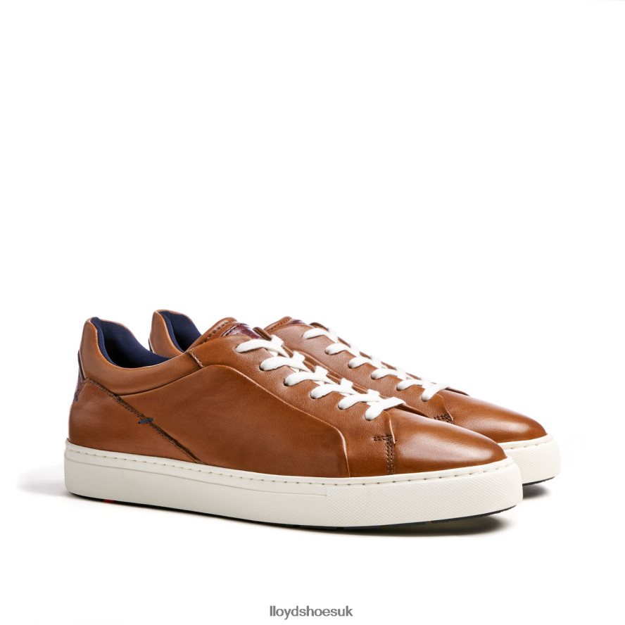 LLOYD Men MAJURO H4BXXT258 Shoes brown