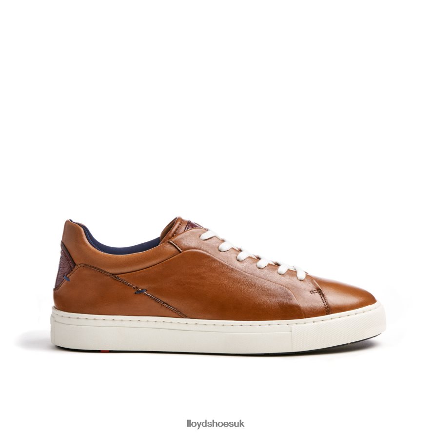 LLOYD Men MAJURO H4BXXT258 Shoes brown