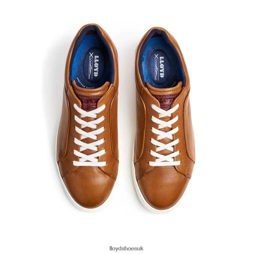 LLOYD Men MAJURO H4BXXT258 Shoes brown