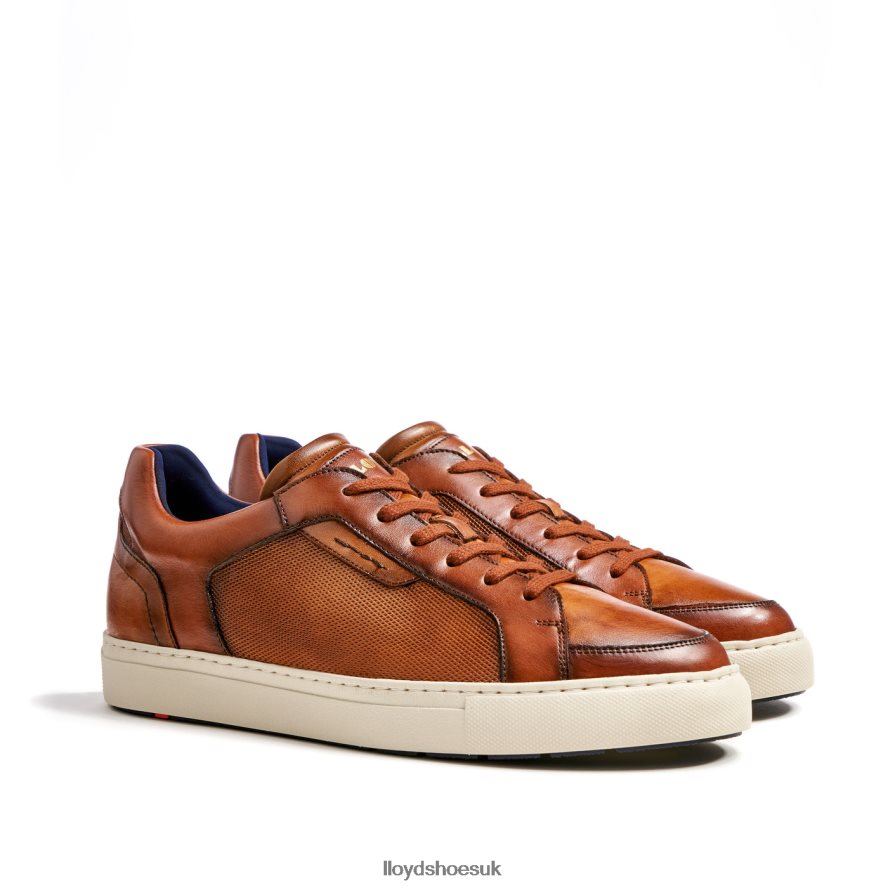 LLOYD Men MALAGA H4BXXT1327 Shoes brown