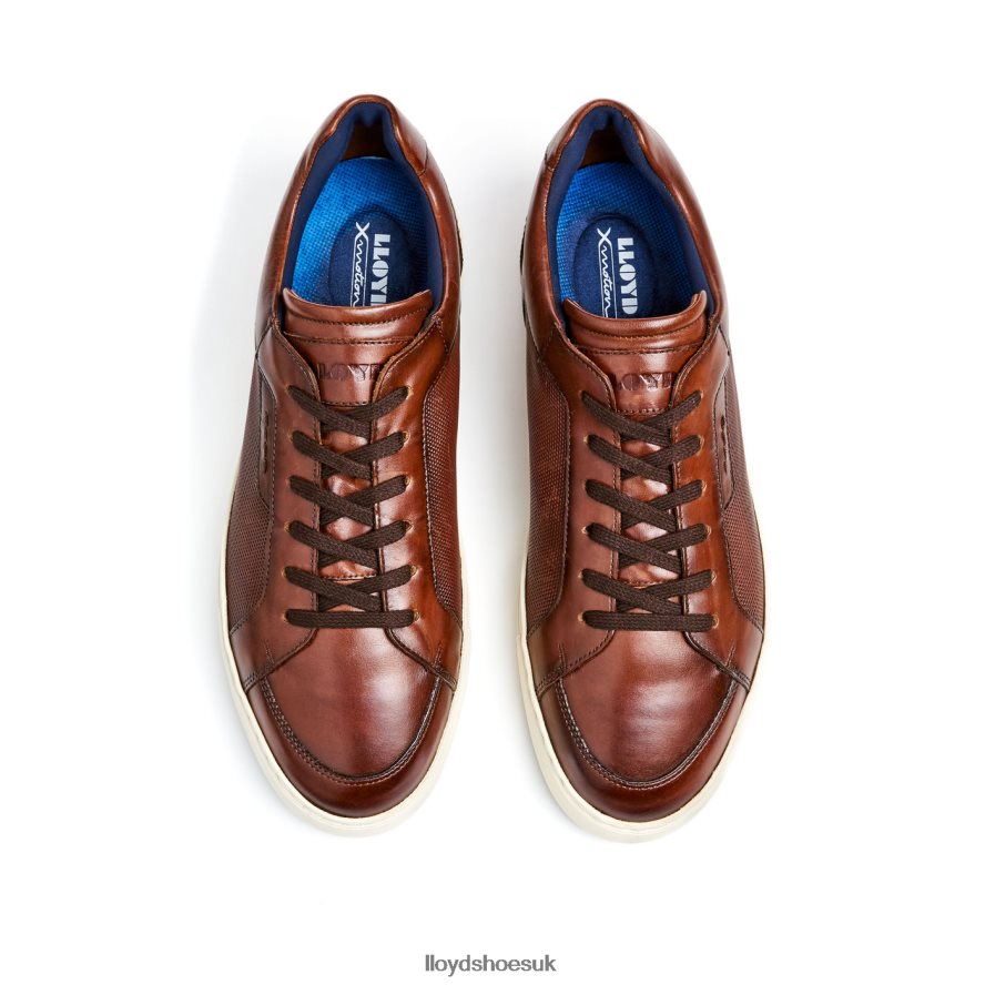 LLOYD Men MALAGA H4BXXT249 Shoes brown