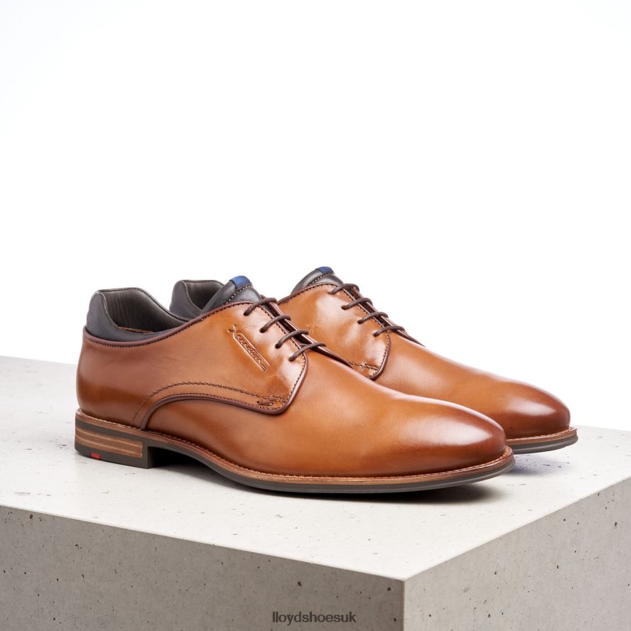 LLOYD Men MASSIMO H4BXXT201 Shoes brown