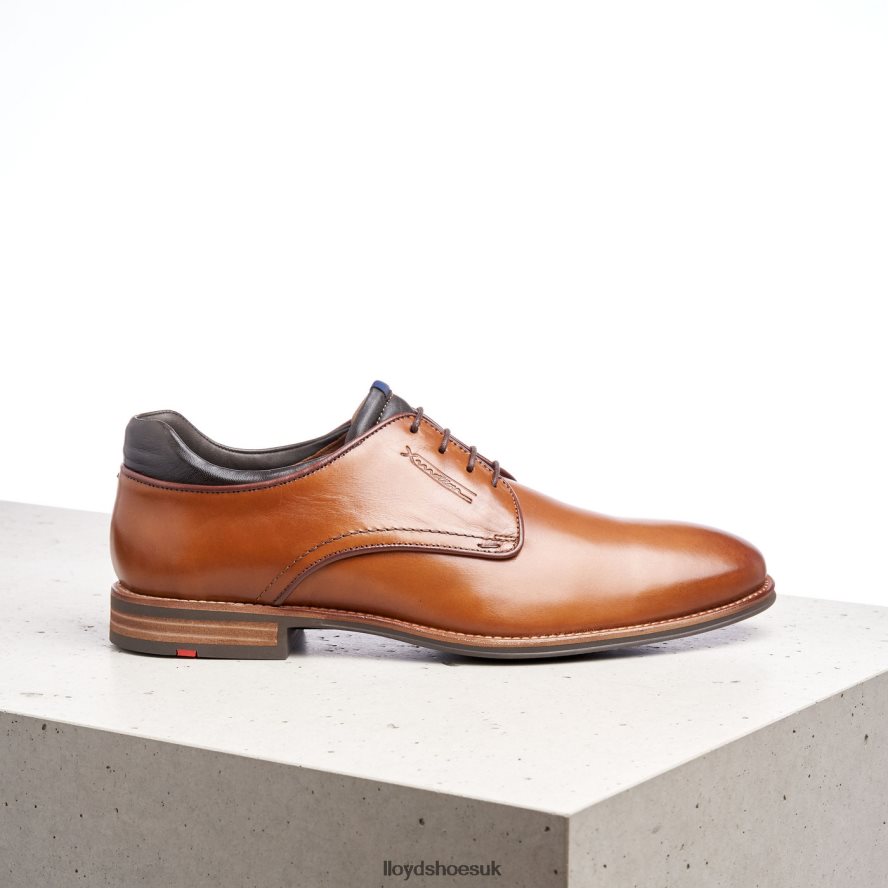 LLOYD Men MASSIMO H4BXXT201 Shoes brown