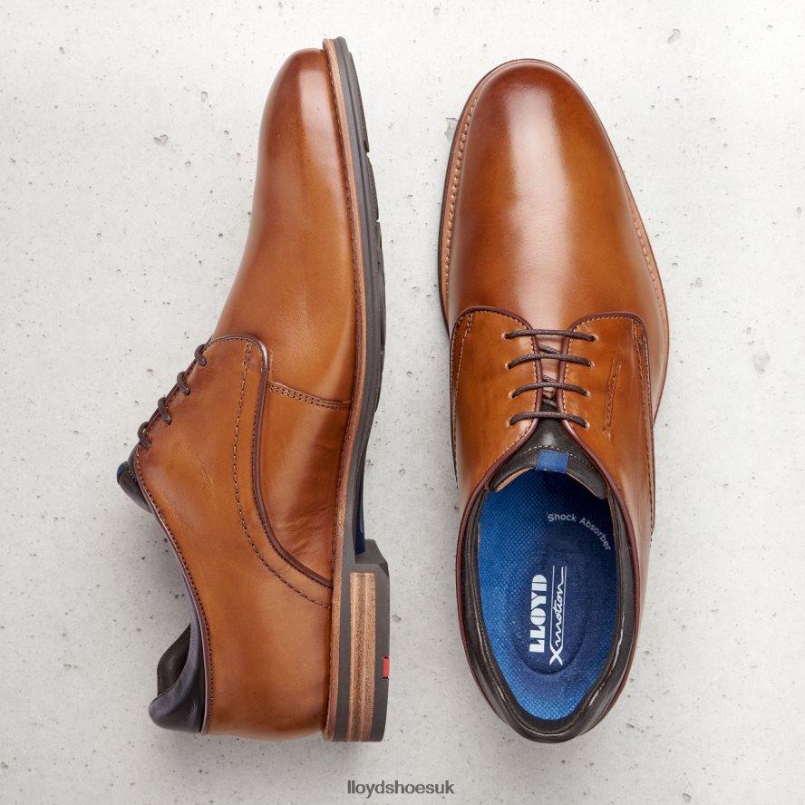 LLOYD Men MASSIMO H4BXXT201 Shoes brown