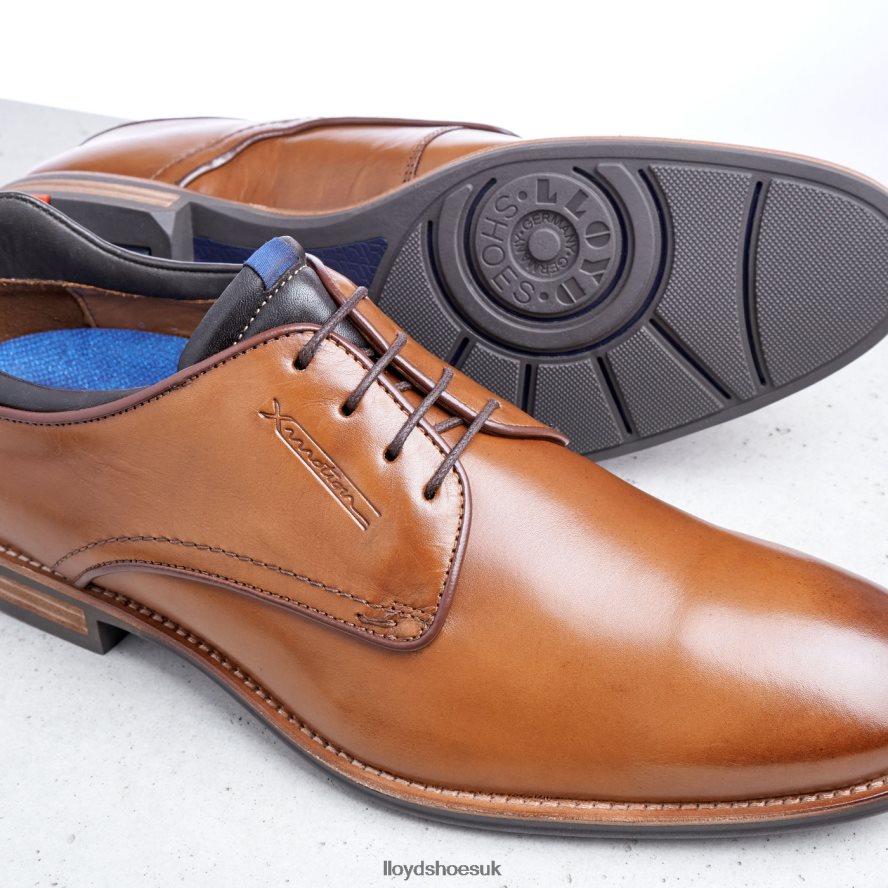 LLOYD Men MASSIMO H4BXXT201 Shoes brown